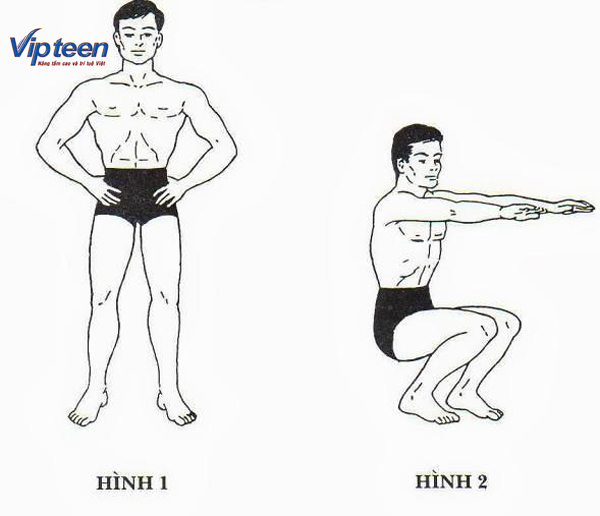 Phương pháp tăng chiều cao trong vòng 10 tuần
