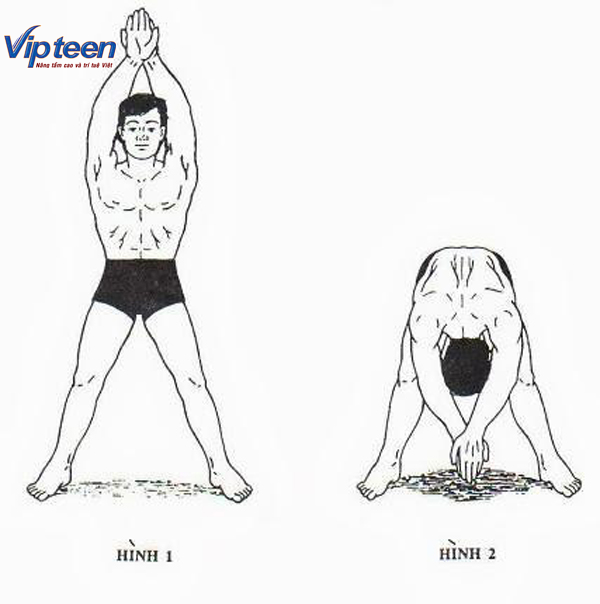 Phương pháp tăng chiều cao trong vòng 10 tuần