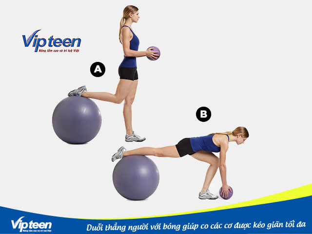 Duỗi thẳng người với bóng giúp tác động rất tốt đến cột sống và lưng