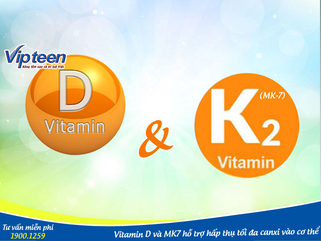 Vitamin D và MK7 giúp cơ thể hấp thụ canxi hiệu quả