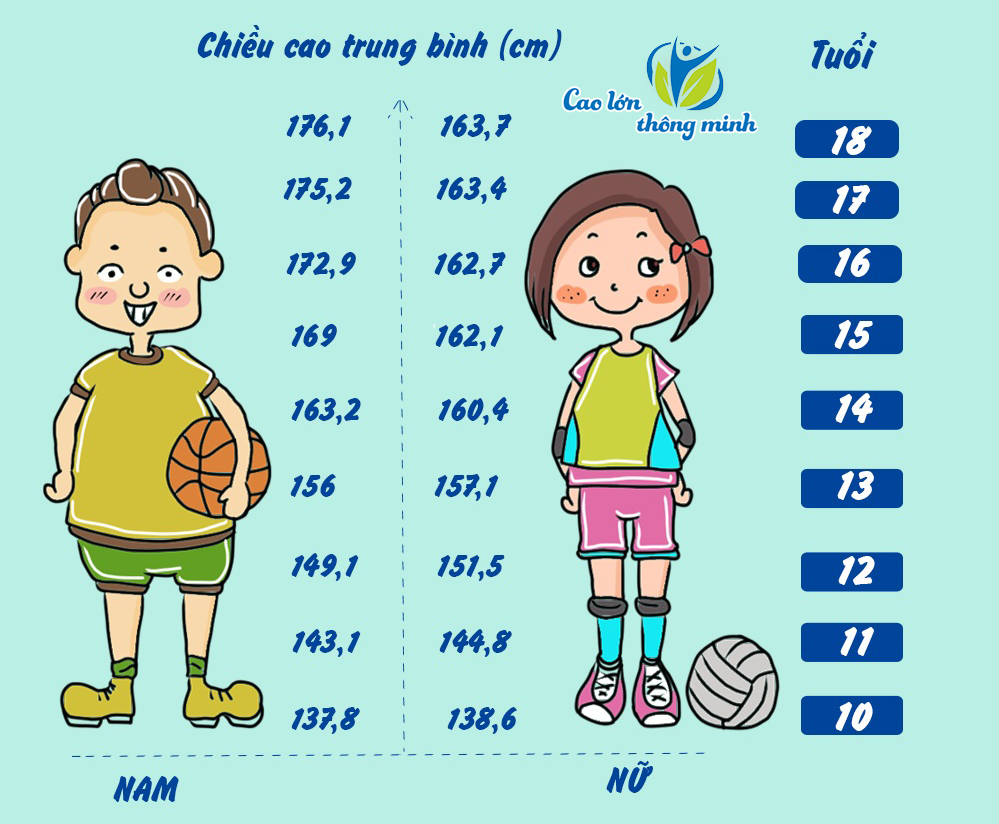 Chiều cao tiêu chuẩn cho bé ở tuổi dậy thì