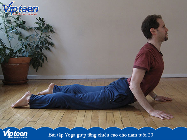 Bài tập Yoga giúp tăng chiều cao ở tuổi 20 nam