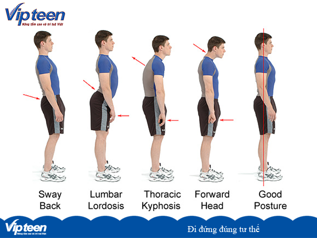 Đi đứng ngồi đúng tư thế