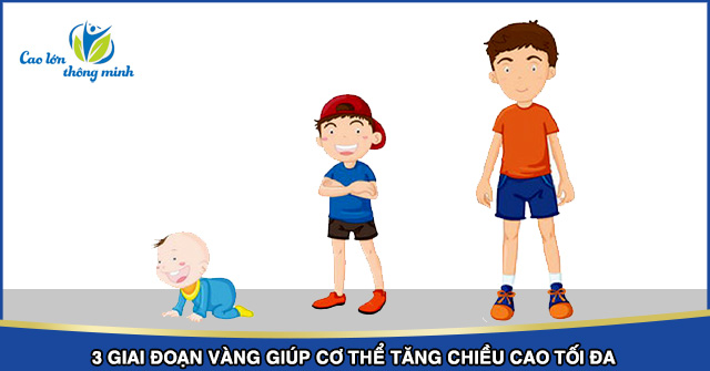 3 giai đoạn tăng chiều cao tốt nhất